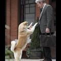 Подробнее о "Goodbye (Hachiko-A Dog's Story Soundtrack)"