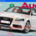 Подробнее о "audi"