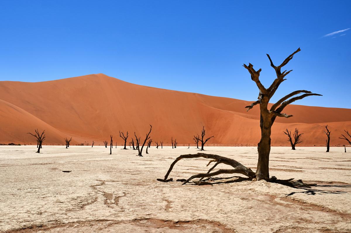 Мертвая Долина в пустыне Намиб