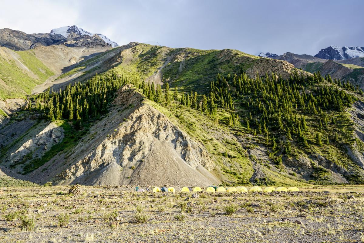 Верхнее фото 10 букв