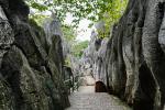 china-shilin-stone-forest-40.jpg