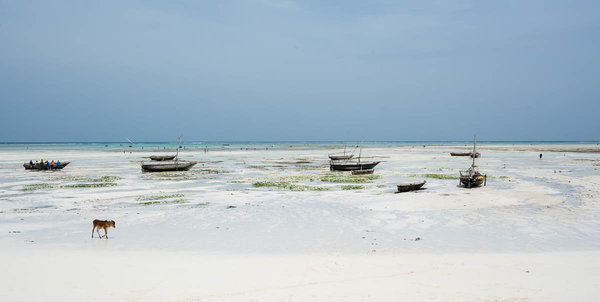 80-zanzibar.jpg