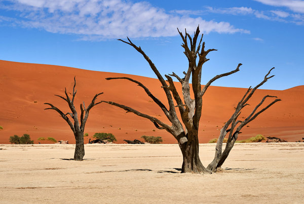 83-namib2.jpg