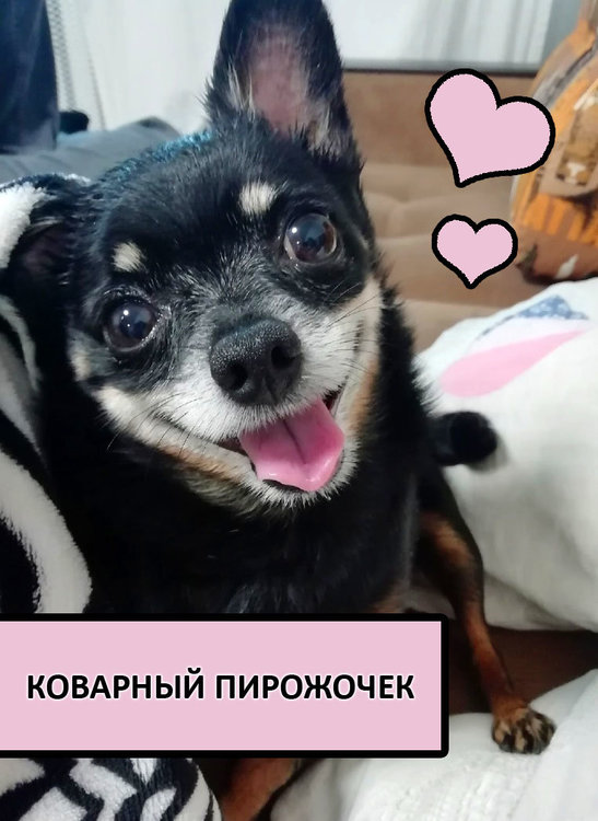 Коварный пирожочек.jpg