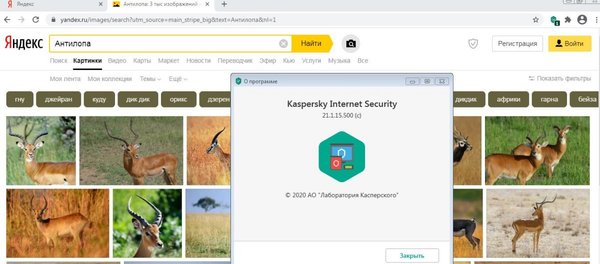 яндекс касперский.JPG