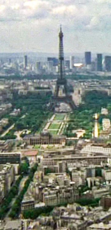 Le professionnel 1981.jpg