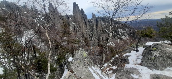 2021-11-06 15-13-36.JPG