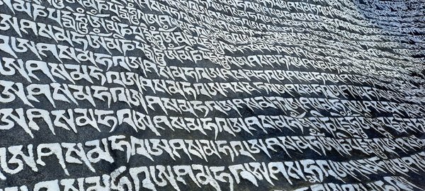 2023-04-28 08-18-36.jpg