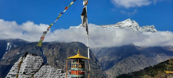 2023-04-28 08-23-54.jpg