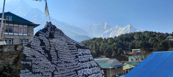 2023-04-28 08-19-32.jpg