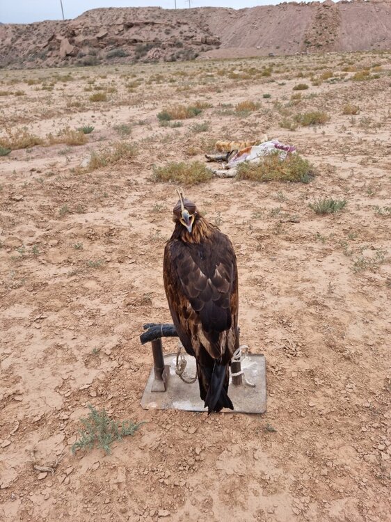 2023-08-26 18-24-35 (Крупное).JPG