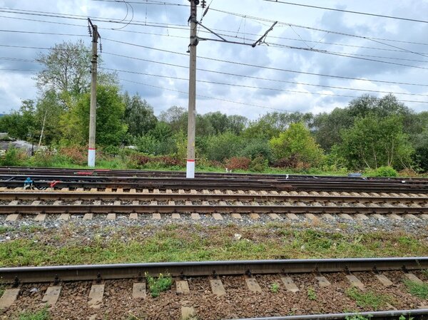 2023-08-23 10-49-39_1692883927068.JPG