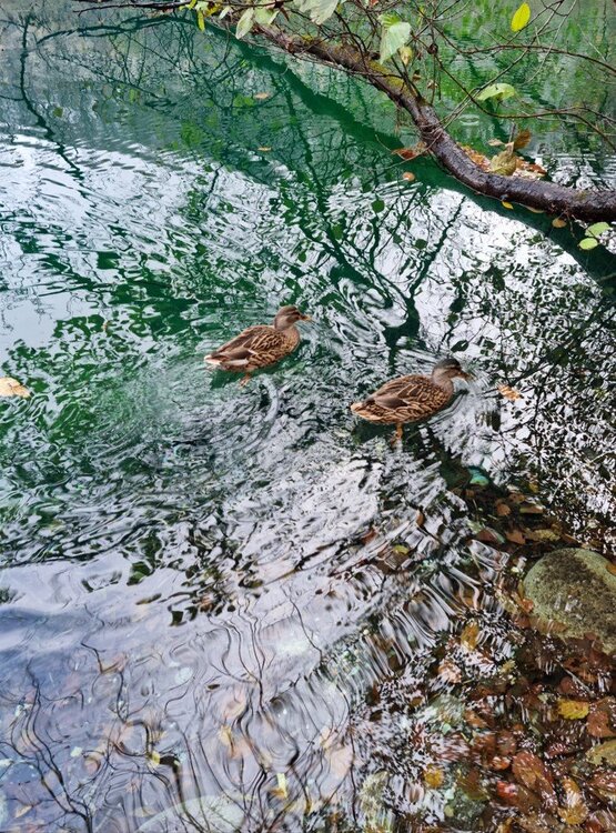 Снимок экрана 2023-08-22 151923.jpg