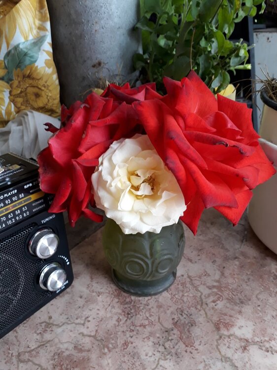 15.09.2019   (14).jpg