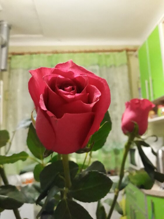 13.03.2019   (13).jpg