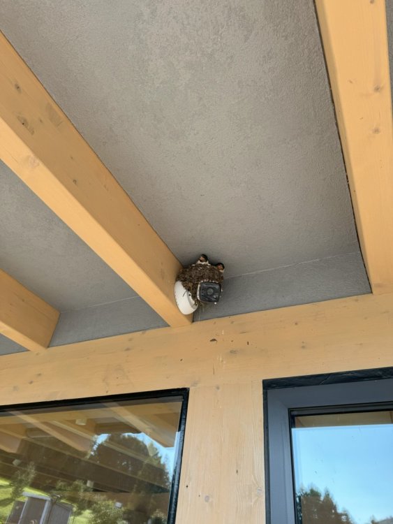 2024-08-23 09-19-11.jpeg