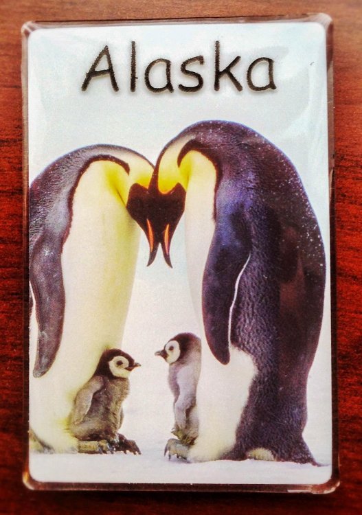 alaska.jpg