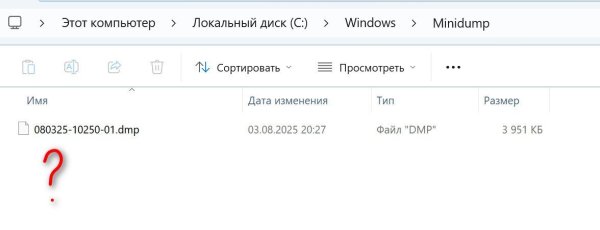 Дамп памяти.jpg