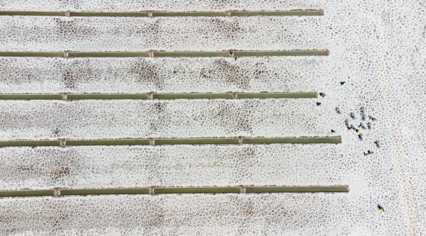 DJI_0142.jpg