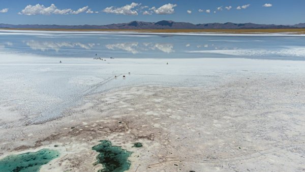 DJI_0164.jpg