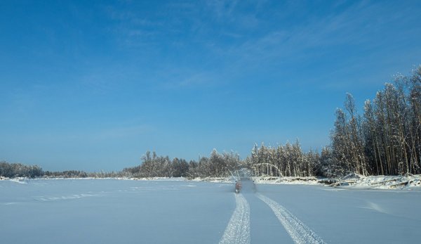 DSC02436.jpg