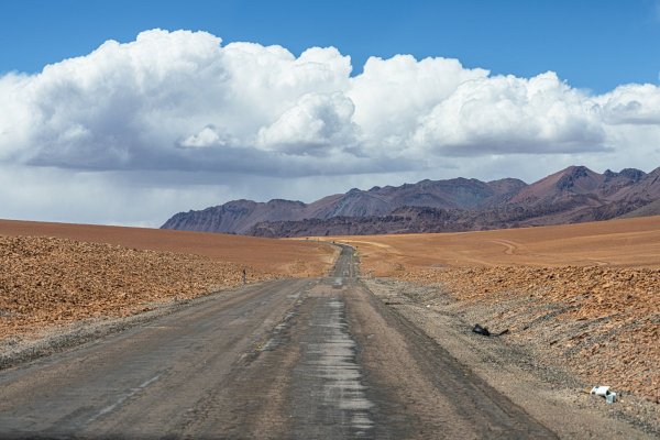 DSC10287.jpg