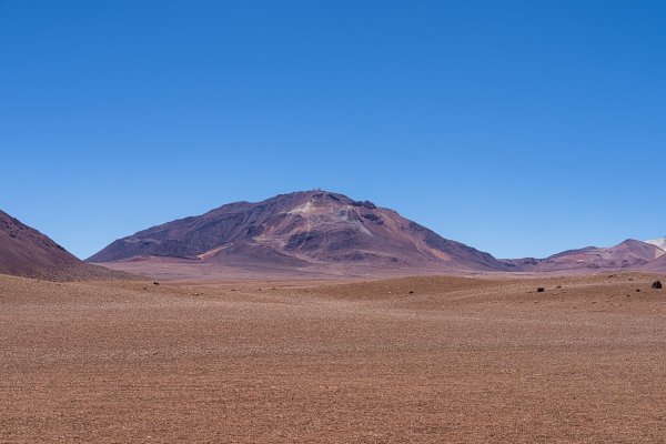 DSC10295.jpg