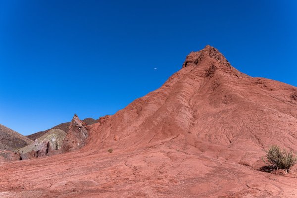 DSC10370.jpg