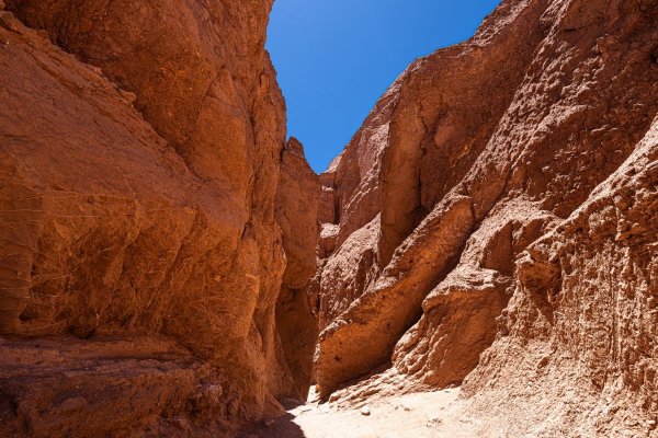 DSC10513.jpg