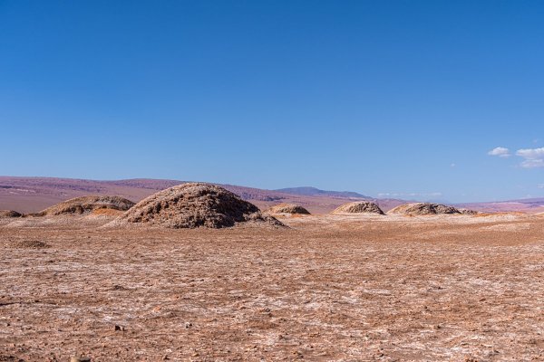 DSC10644.jpg