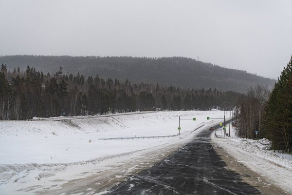 DSC_1519.jpg
