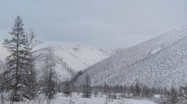 DSC_2119.jpg