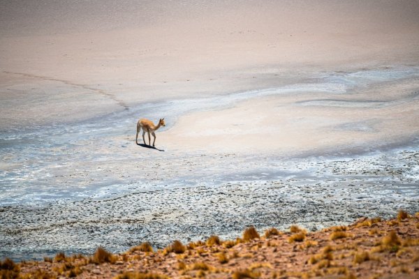 DSC_9844.jpg
