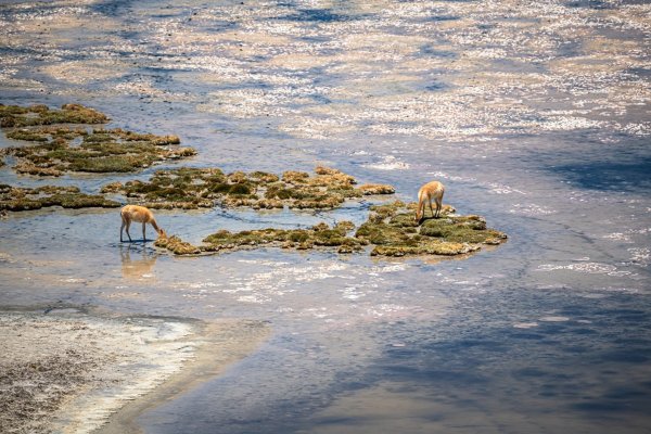 DSC_9847.jpg