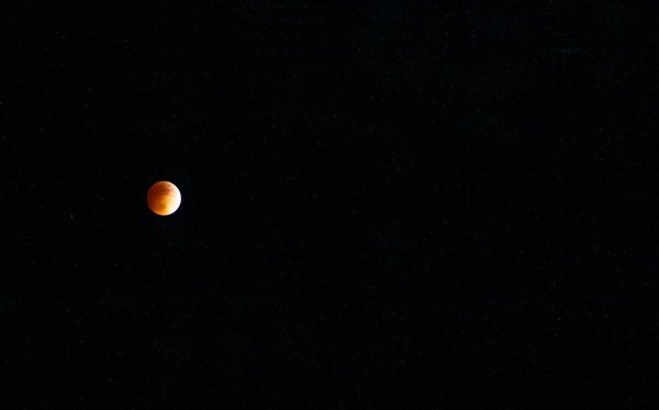 Image00007.jpg