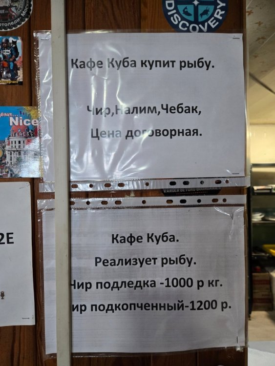 20260222_142409.jpg