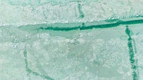 6DJI_20260301173117_0043_D.jpg