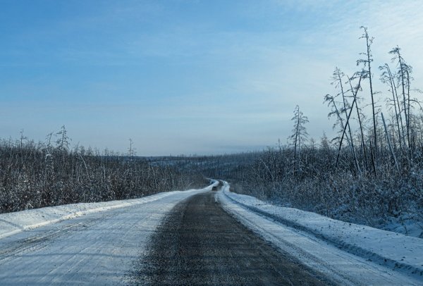 DSC02165.jpg
