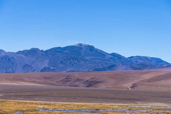 DSC10906.jpg