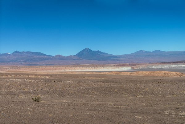 DSC10956.jpg