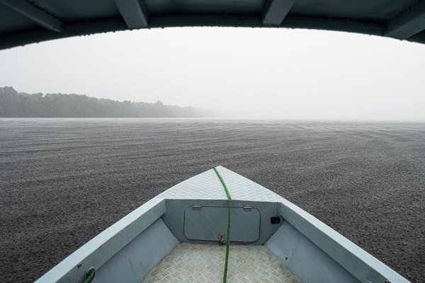 DSC11557.jpg