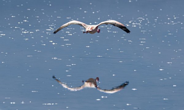DSC_0267.jpg