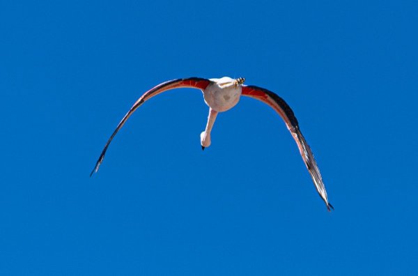 DSC_0317.jpg