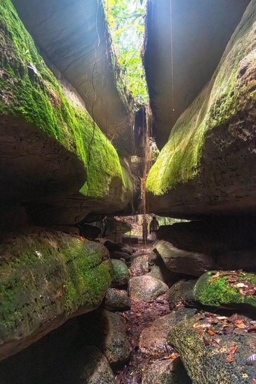 DSC_1254.jpg