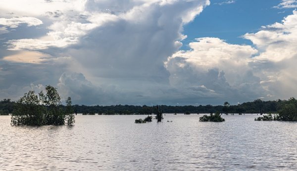 DSC_1303.jpg