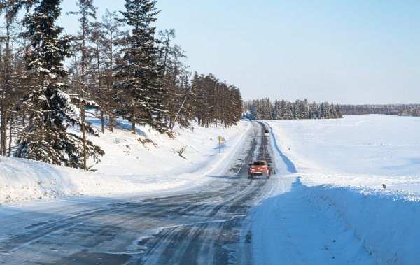 DSC_1817.jpg