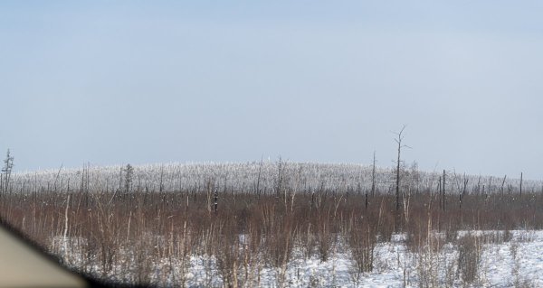 DSC_1854.jpg
