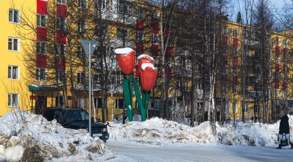 DSC_2555.jpg