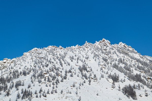 DSC_2856.jpg