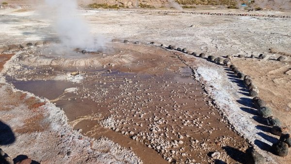 IMG_20260110_084117.jpg